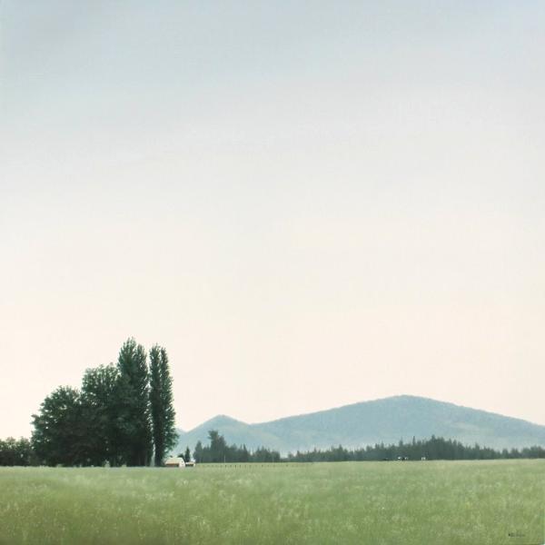 Andy Eccleshall