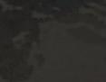 Christine Wardenburg-Skinner
