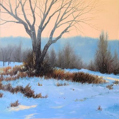 Andy Eccleshall